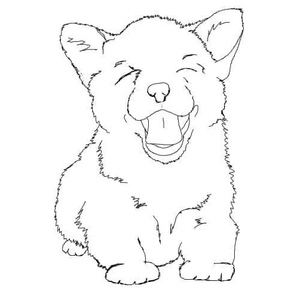 Corgi