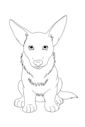 Adorable Corgi with Ears Coloring Page