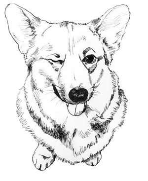 Adorable Corgi Coloring Page