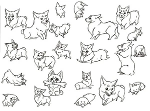 "Cute Corgi Pup from Different Perspectives" Coloring Page