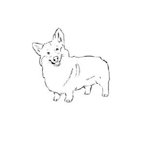 Simple Corgi Sketch Coloring Page