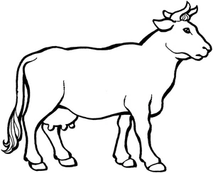 Children's Cow Coloring Page Coloring Page