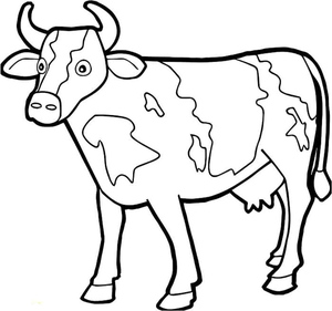 Cow Freedom