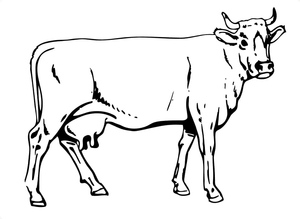 Free Cow Coloring Page for Kids