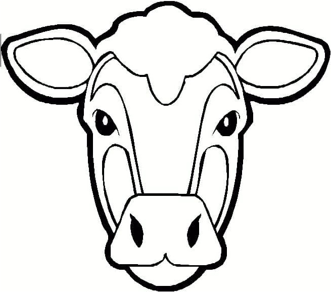 Head of a Cow Coloring Page