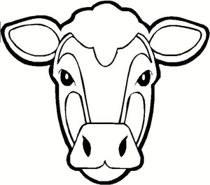 Head of a Cow