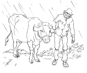 Man with Cow