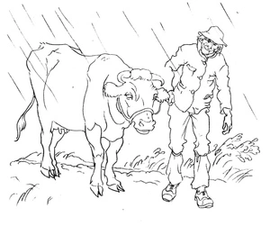 Man with Cow Coloring Page