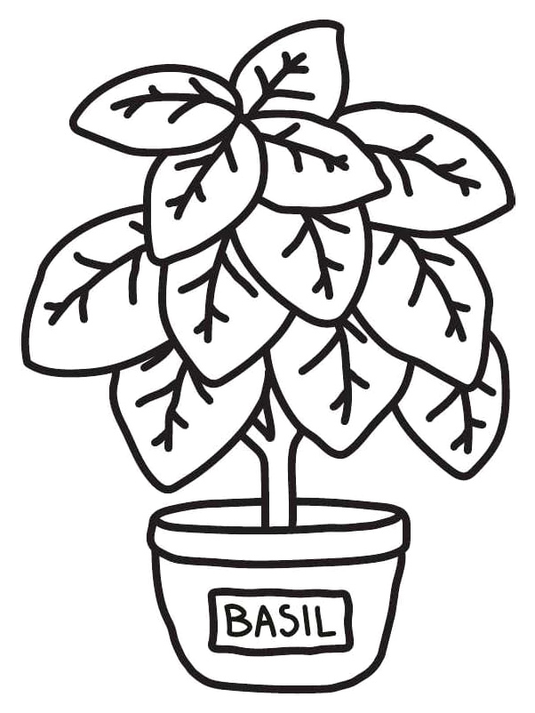 Cozy Kitchen Basil Coloring Page