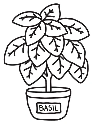 Cozy Kitchen Basil Coloring Page