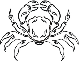 A Seashore Crab