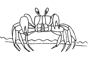 Crab on a Stroll Coloring Page