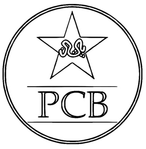 Cricket Team of Pakistan