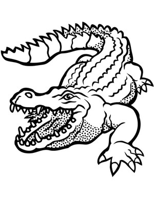 Crocodile Coloring Page – Sheet 3 Coloring Page