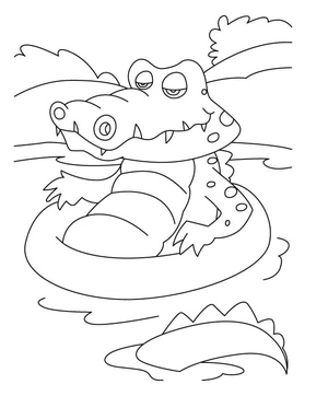 Crocodile Relaxing