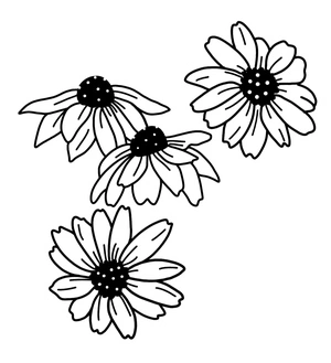 Daisies Quartet Coloring Page