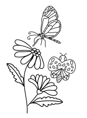 Daisy and the Butterfly