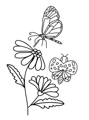 Daisy and the Butterfly Coloring Page