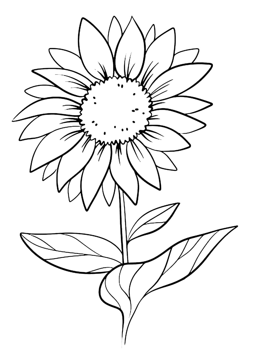 Free Daisy Flower Coloring Page