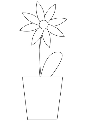 Daisy