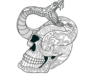 A Scary Skull with an Anaconda Emerging from Its Eye