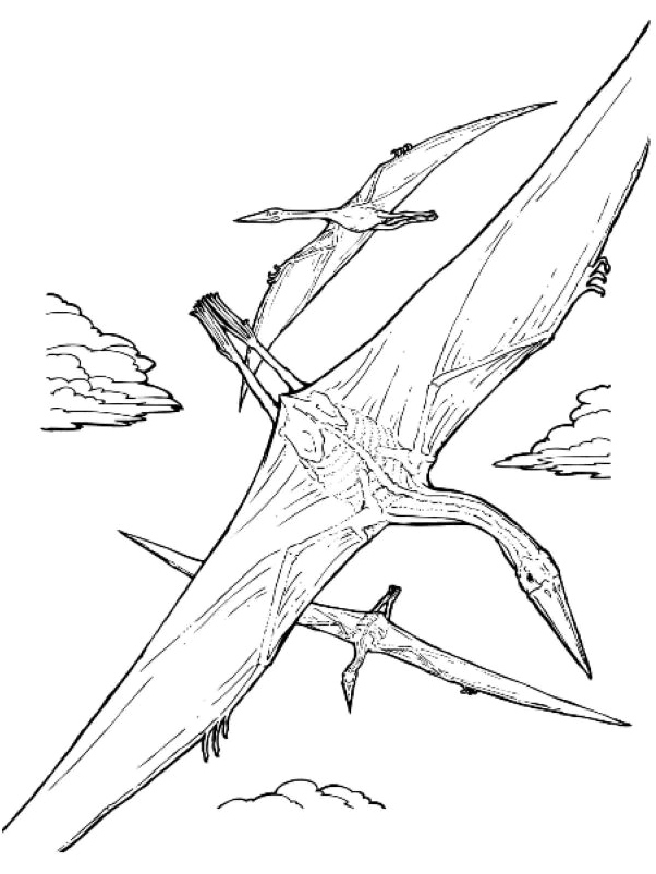 Giant Pterosaur Coloring Page