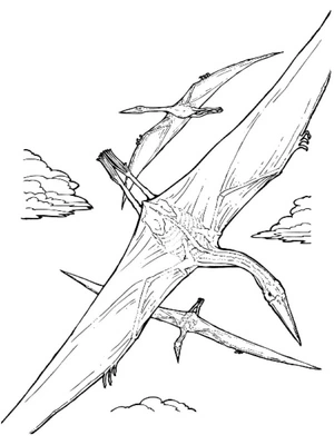 Giant Pterosaur Coloring Page