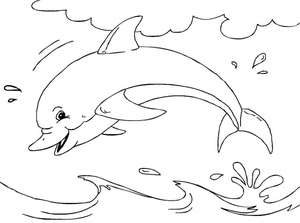 A Cheerful Dolphin