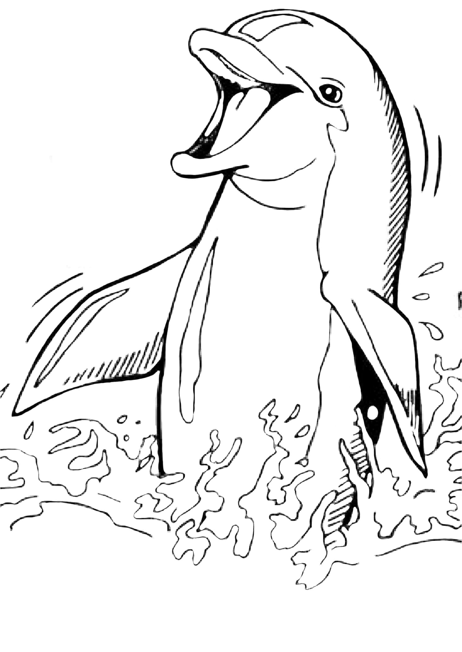 A Welcoming Dolphin Coloring Page