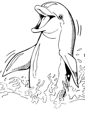 A Welcoming Dolphin Coloring Page