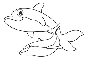 Cute Dolphins