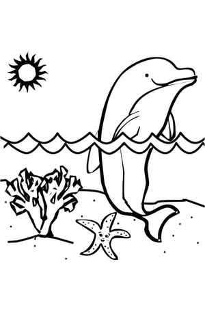 Dolphin illustration