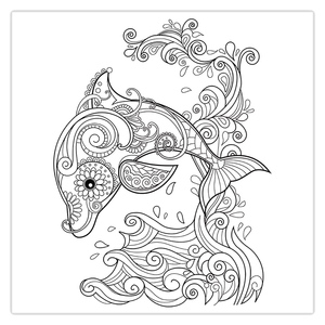 Dolphin