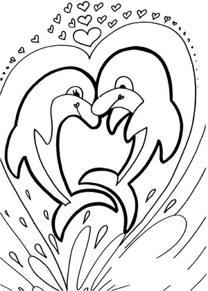 Love of Dolphins