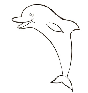 Quirky Dolphin