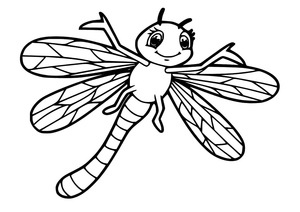 A Beautiful Dragonfly