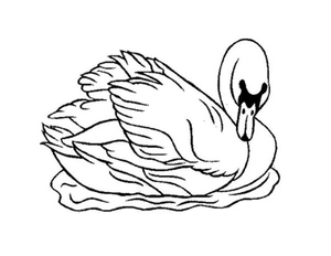A Free-Spirited Duck