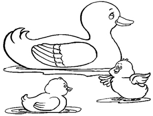 Duck and two ducklings