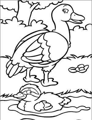 Duck Coloring Page - Sheet 47 Coloring Page