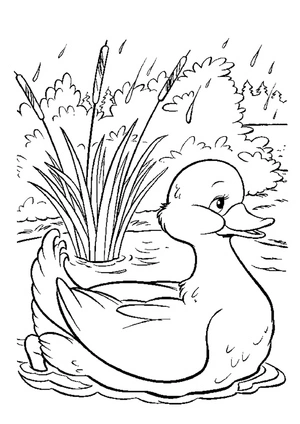 Duckling by the river Coloring Page