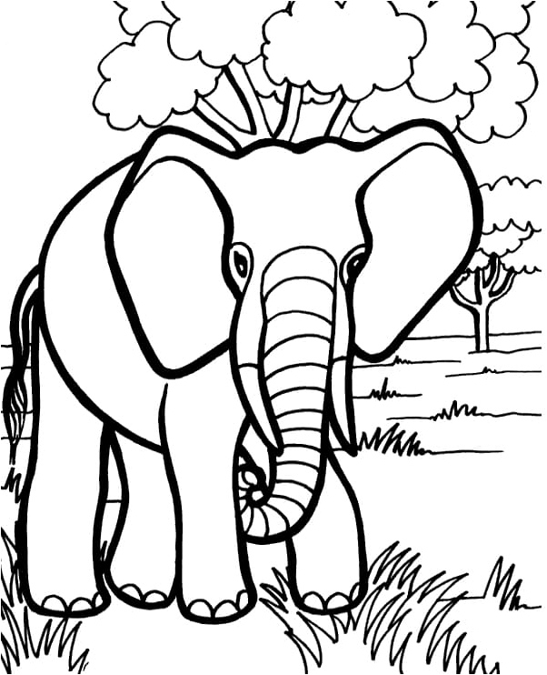 Elephant in the Wild Coloring Page