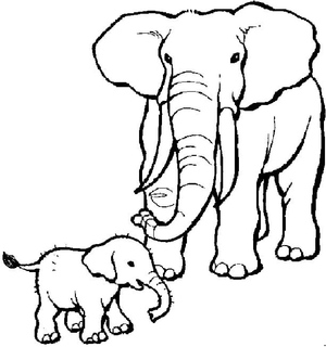 Elephant Mom and Baby