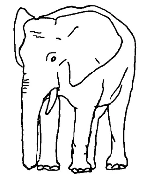 Free Elephant Coloring Page