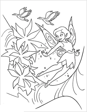Fairy with Two Birds Coloring Page