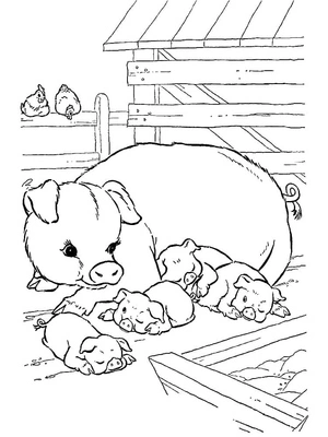 Farm Pigs Coloring Page Coloring Page