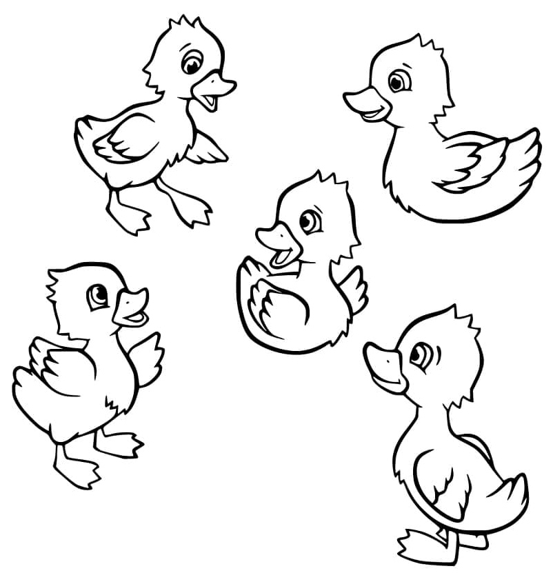 Adorable Five Little Ducklings Coloring Page
