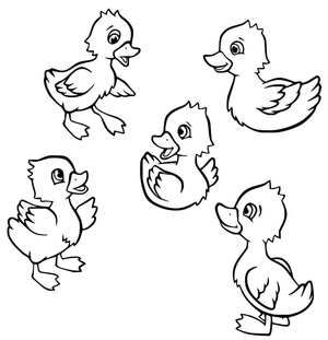 Five Little Ducks