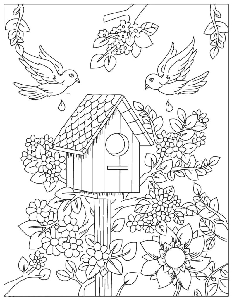 Birds, Nests, and Flowers Coloring Page