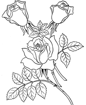 Free Flower Images