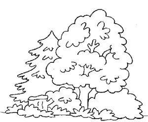 A Stump in the Forest Coloring Page Coloring Page